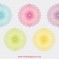 Transparent vector flowers