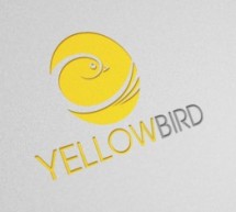 Premium Yellow Bird Logo for Start Ups!